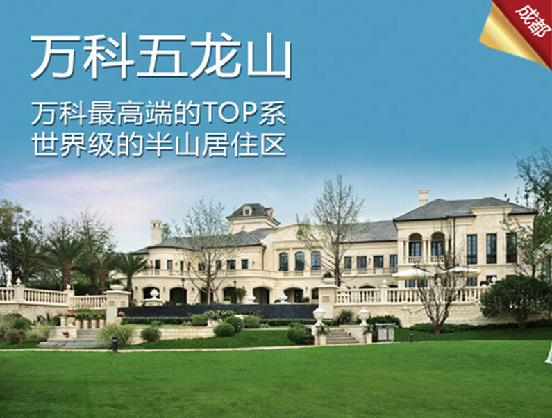 成都万科五龙山电梯控制系统